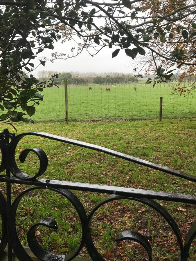 Mcivor Lodge Invercargill Εξωτερικό φωτογραφία